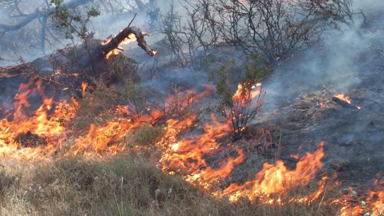 Balıkesir Burhaniyede çıkan orman yangını 8 saatte kontrol altına alındı