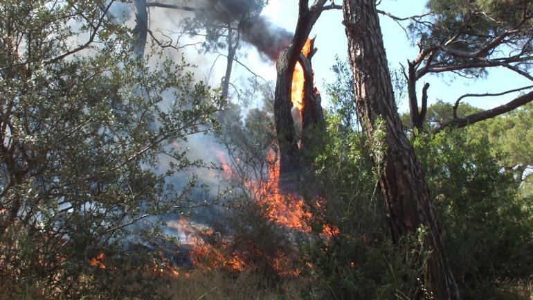 Balıkesir Burhaniyede çıkan orman yangını 8 saatte kontrol altına alındı