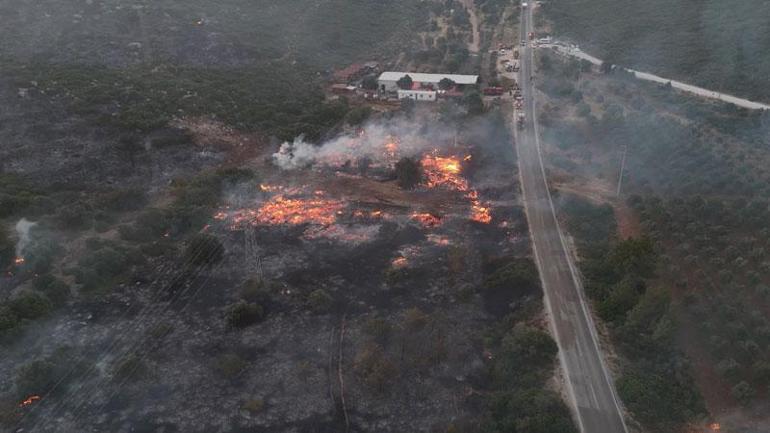 İzmir Çeşmede orman yangını