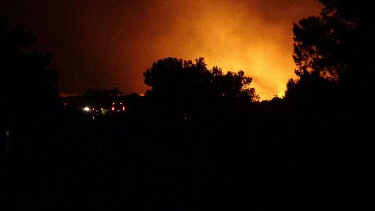 İzmir Çeşmede orman yangını