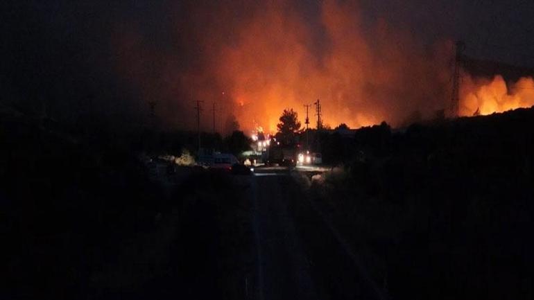 İzmir Çeşmede orman yangını
