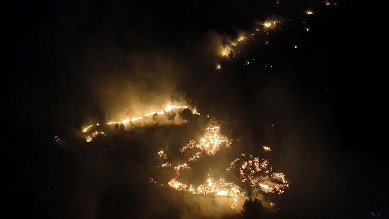 İzmir Çeşmede orman yangını