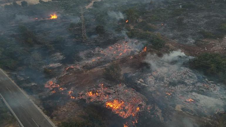 İzmirdeki orman yangını 2nci gününde