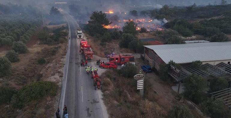 İzmirdeki orman yangını 2nci gününde