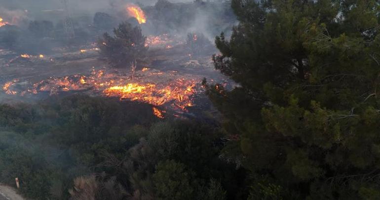 İzmirdeki orman yangını 2nci gününde