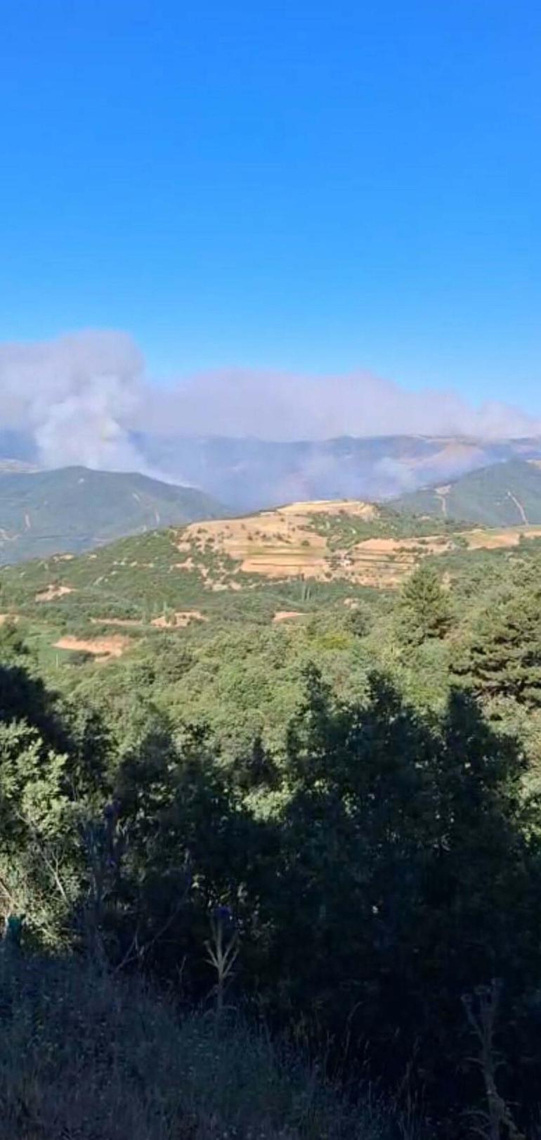 Ödemişteki orman yangını 2nci gününde