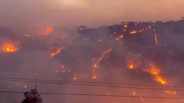 Girit Adasında orman yangını: 5 yaralı