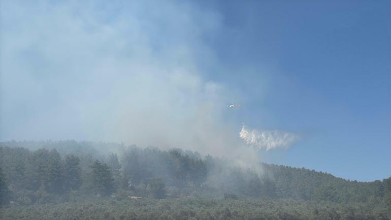 Muğladaki orman yangını kontrol altında