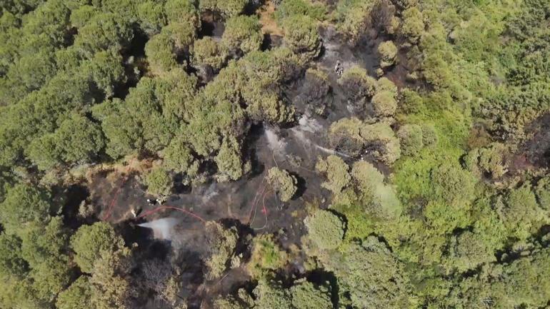 Sultangazi Kent Ormanında yangın