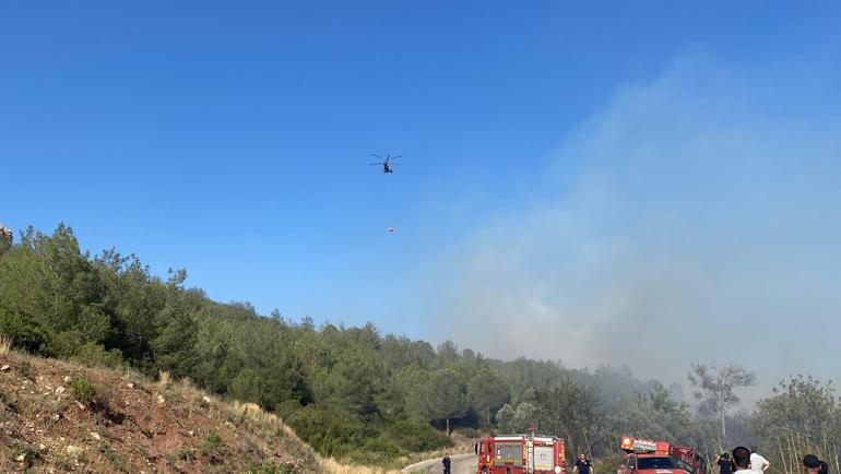 Adanada çıkan orman yangını kontrol altında