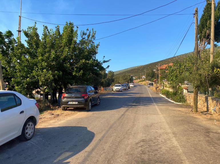 İzmirdeki orman yangını 2nci gününde