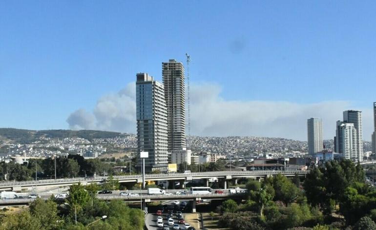 İzmir Bucada orman yangını