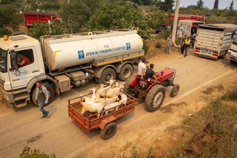 Ödemişteki orman yangını 2nci gününde: 2 ölü