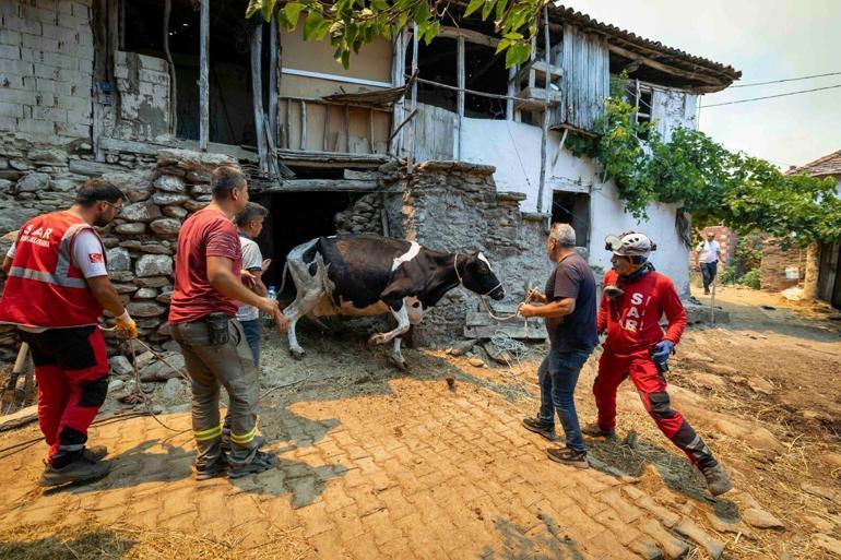 Ödemişteki orman yangını 2nci gününde: 2 ölü