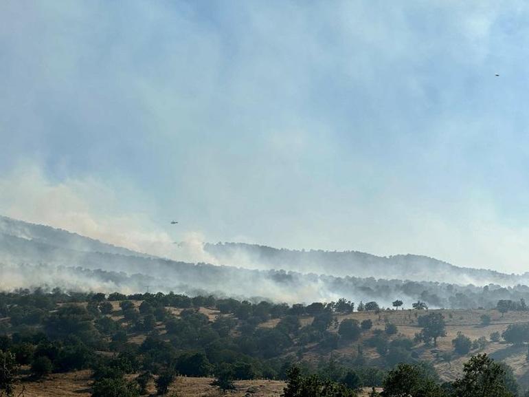 Uşak’ta meşelik yangını kontrol altında