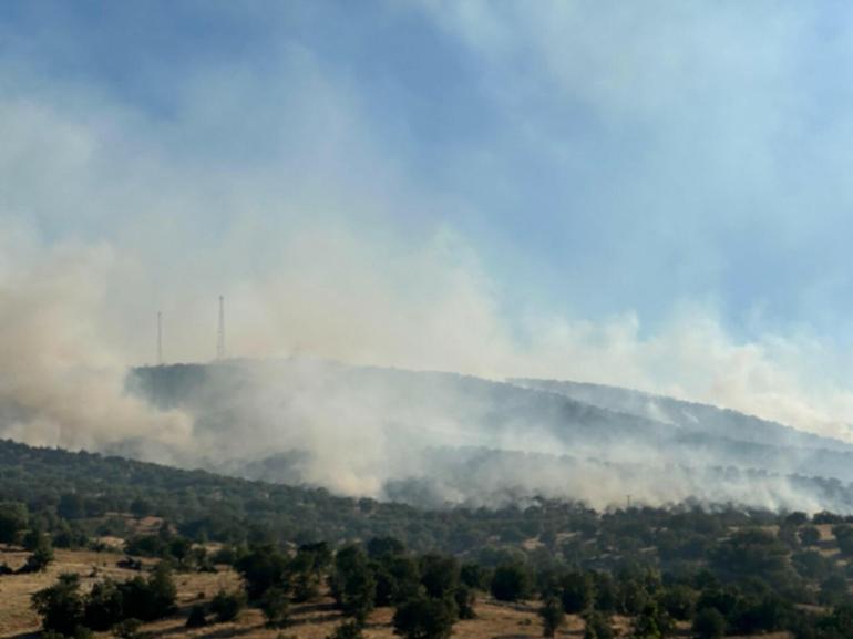 Uşak’ta meşelik yangını kontrol altında