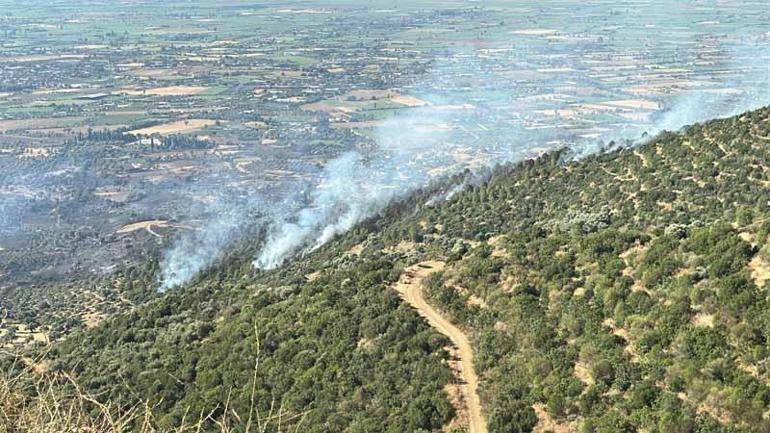 İzmir Ödemişteki orman yangını kontrol altında