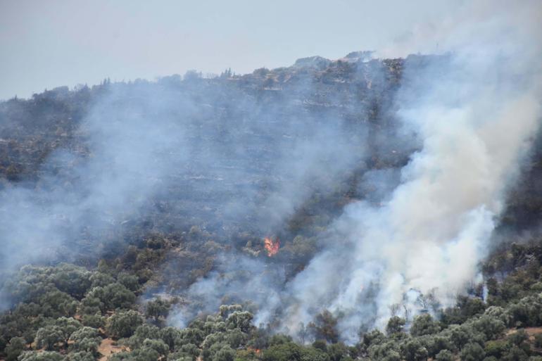 İzmir Ödemişteki orman yangını kontrol altında