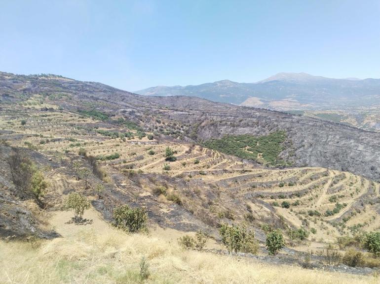 İzmir Ödemişteki orman yangını kontrol altında