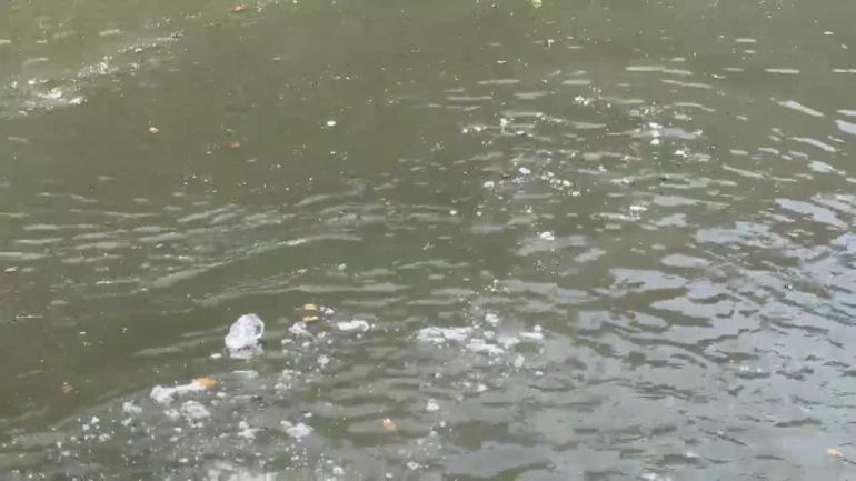 Küçükçekmece’de dereden gelen kokuya mahalleli isyan etti, atık döküldüğü iddia edildi