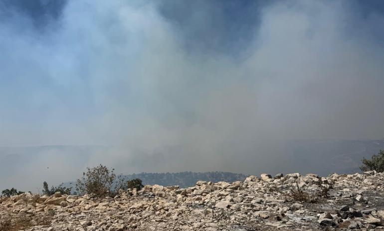 Gabar Dağı’nda orman yangını