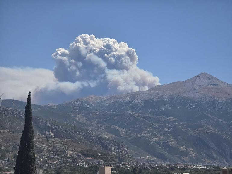 Suriyede sınıra yakın bölgede orman yangını