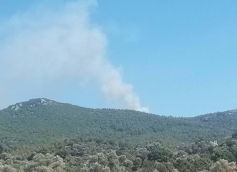 Milasta çıkan orman yangını kontrol altında