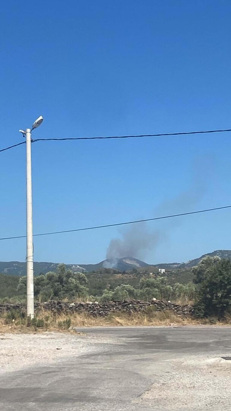 Milasta çıkan orman yangını kontrol altında