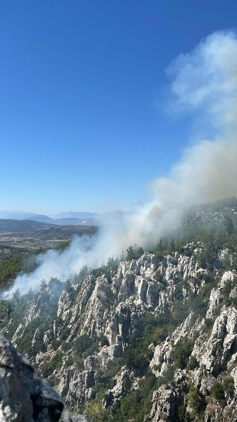 Milasta çıkan orman yangını kontrol altında