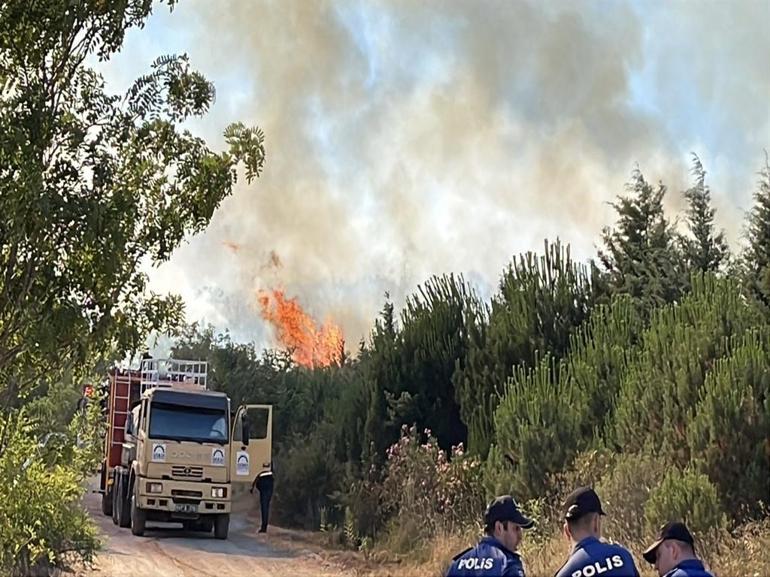 Kocaeli’de ağaçlık alanda çıkan yangın kontrol altında