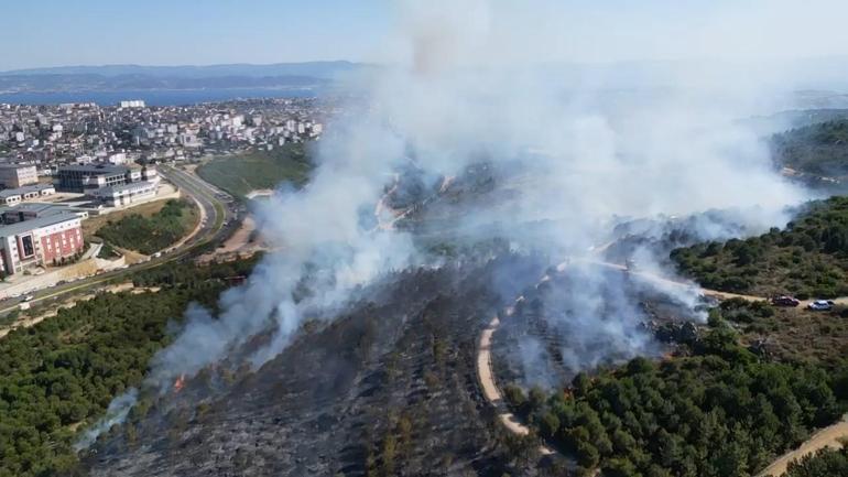 Kocaeli’de ağaçlık alanda çıkan yangın kontrol altında