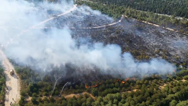 Kocaeli’de ağaçlık alanda çıkan yangın kontrol altında