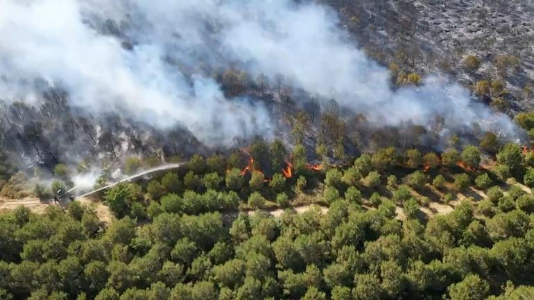 Kocaeli’de ağaçlık alanda çıkan yangın kontrol altında