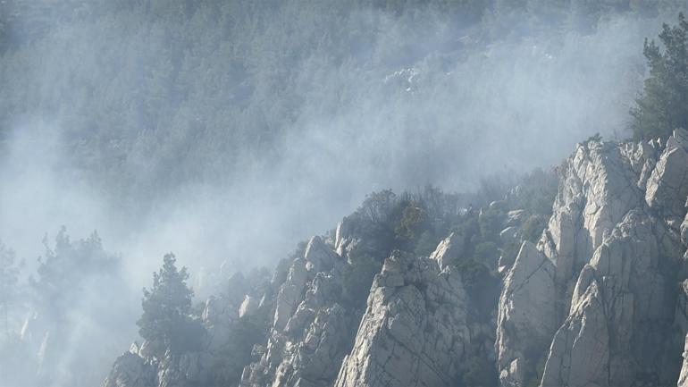 Milasta çıkan orman yangını kontrol altında