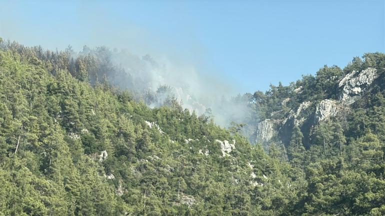 Milasta çıkan orman yangını kontrol altında