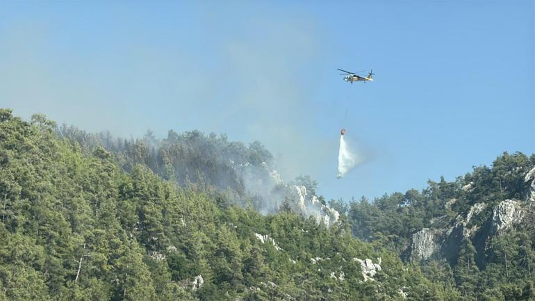 Milasta çıkan orman yangını kontrol altında