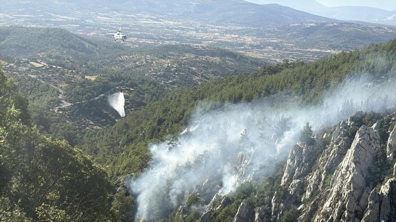 Milasta çıkan orman yangını kontrol altında