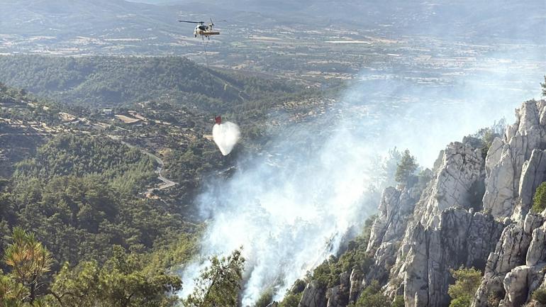 Milasta çıkan orman yangını kontrol altında