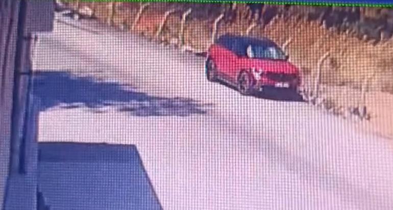 İzmir Bucadaki orman yangını kontrol altında