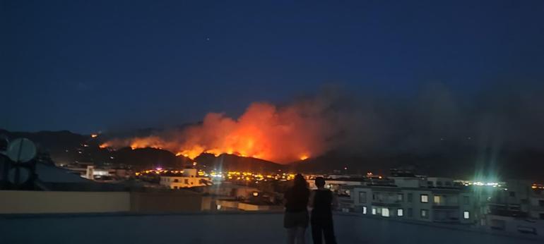 Hatayda orman yangını