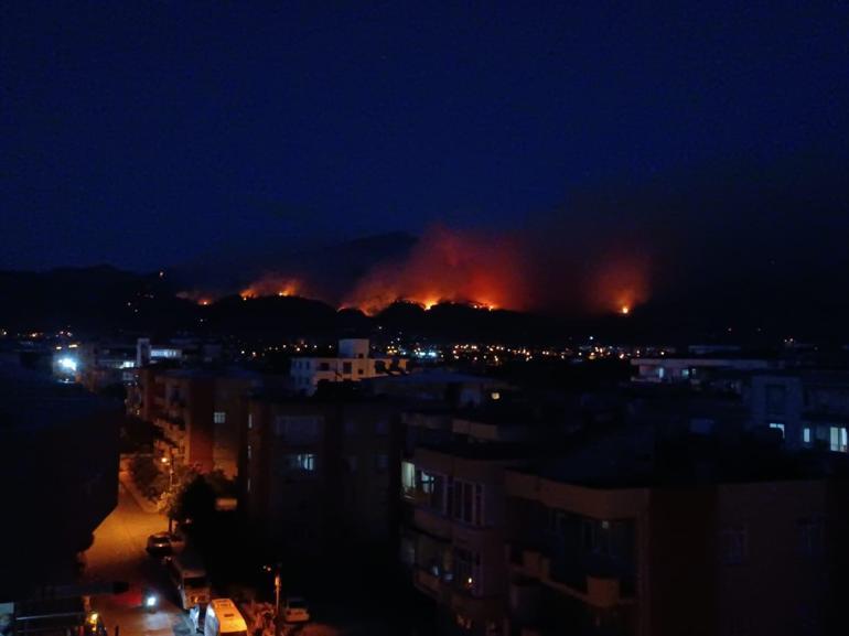 Hatayda orman yangını