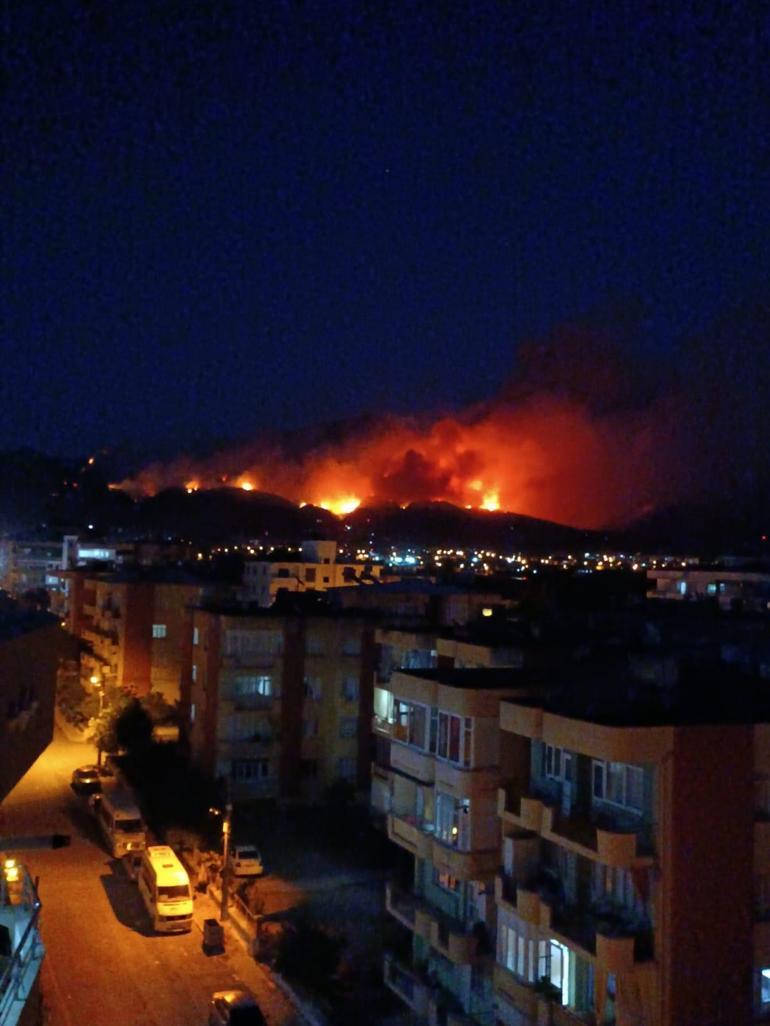 Hatayda orman yangını