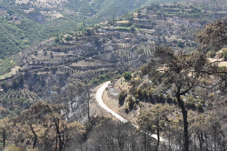 Ödemişteki yangında şehit olan orman işçisi sayısı 2 oldu