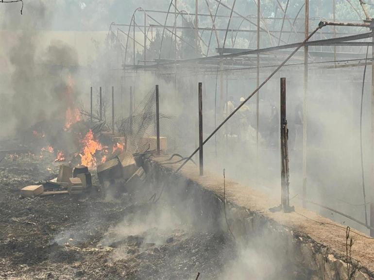 Antalyada orman yangını kontrol altında