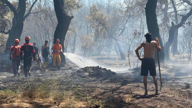 Antalyada orman yangını kontrol altında