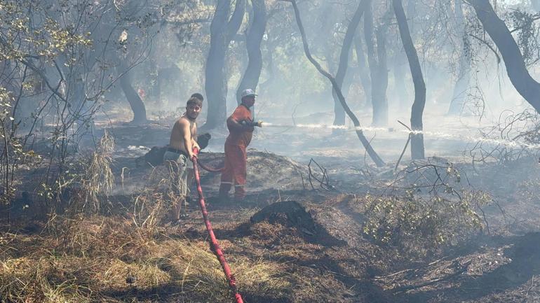 Antalyada orman yangını kontrol altında