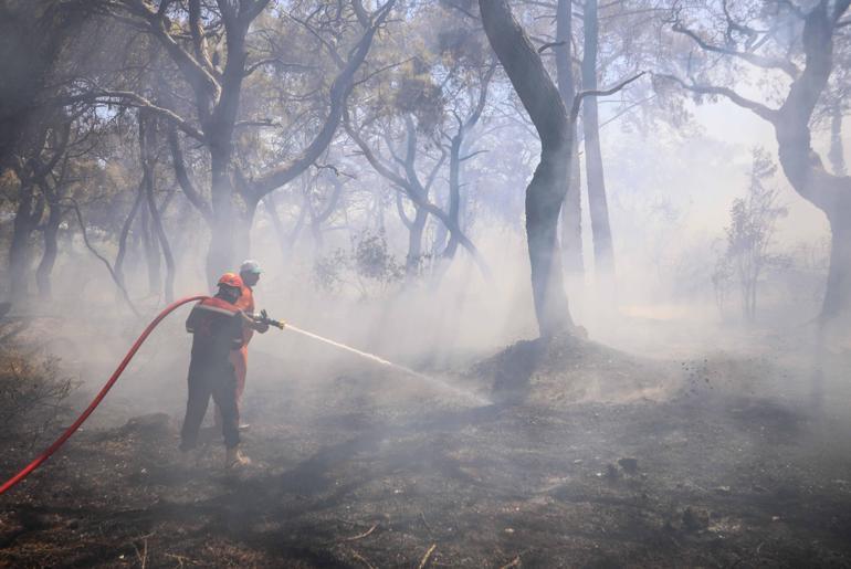 Antalyada orman yangını kontrol altında