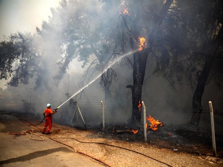 Antalyada orman yangını kontrol altında