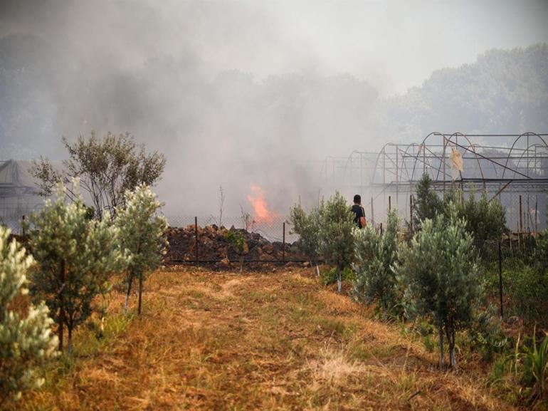 Antalyada orman yangını kontrol altında