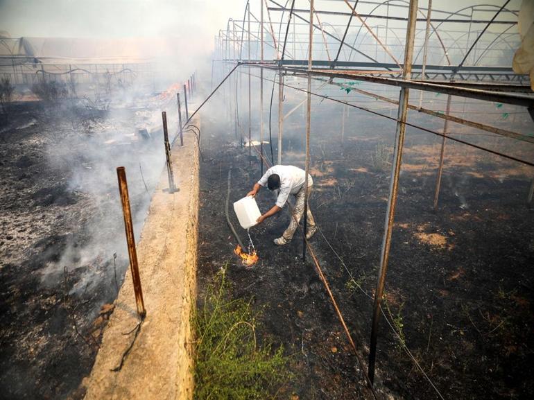 Antalyada orman yangını kontrol altında